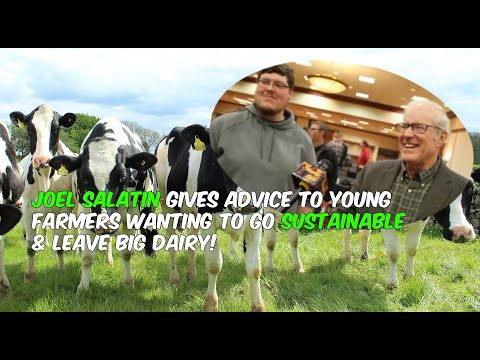 Joel Salatin Gives Advice to Young Industrial Dairy Farmers Wanting To Go Sustainable! *Touching*