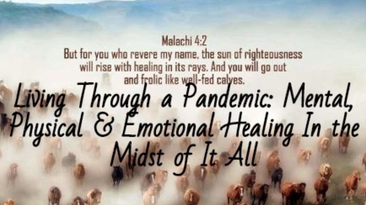 Healing In the Midst of the Storm: The Mental, Physical & Emotional Effects of a Pandemic