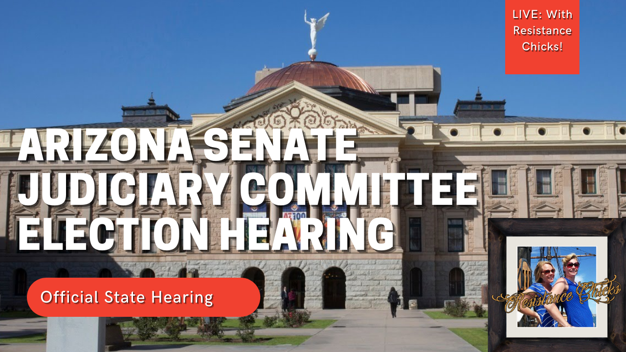 LIVE: Arizona Senate Committee Hearing On Election Integrity