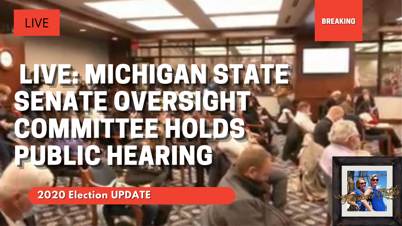 🔴 LIVE: Michigan State Senate Oversight Committee Holds Public Hearing
