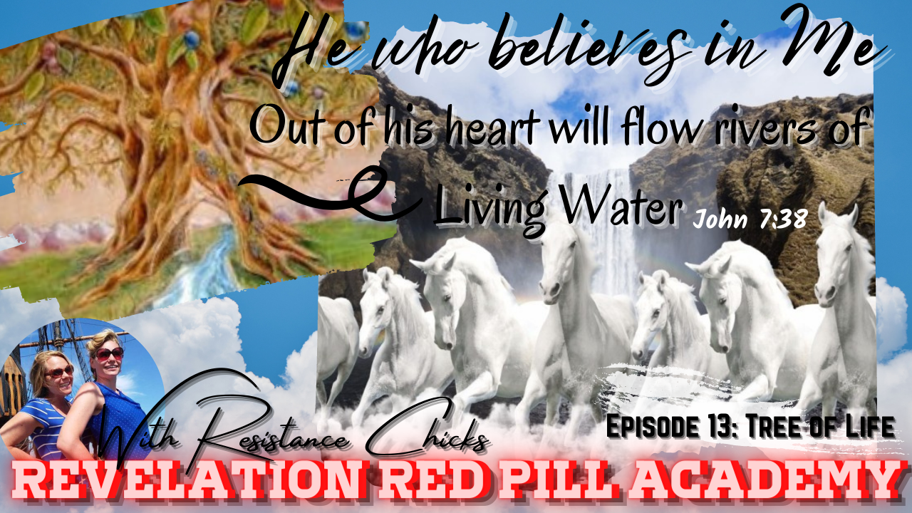 Revelation Red Pill Academy 13: The Tree & Waters of Life Are For TODAY!