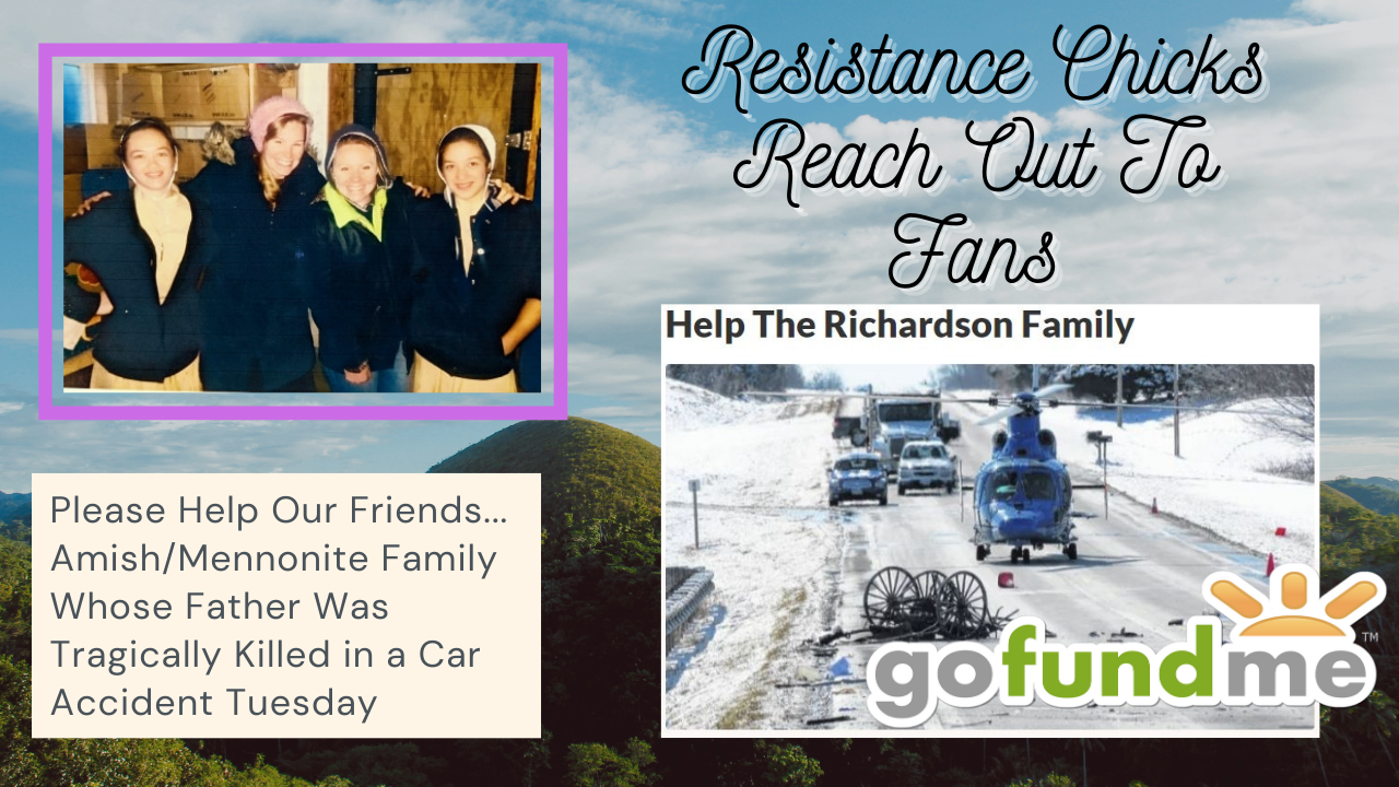 Amish/Mennonite Farmer Killed In Buggy Accident- Ohio… Resistance Chicks Ask For Help