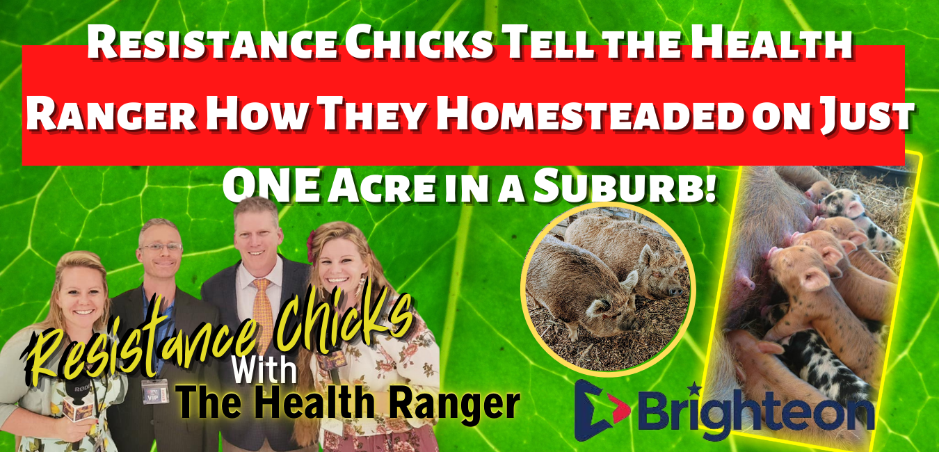 Resistance Chicks Tell the Health Ranger How They Homesteaded on Just ONE Acre in a Suburb!