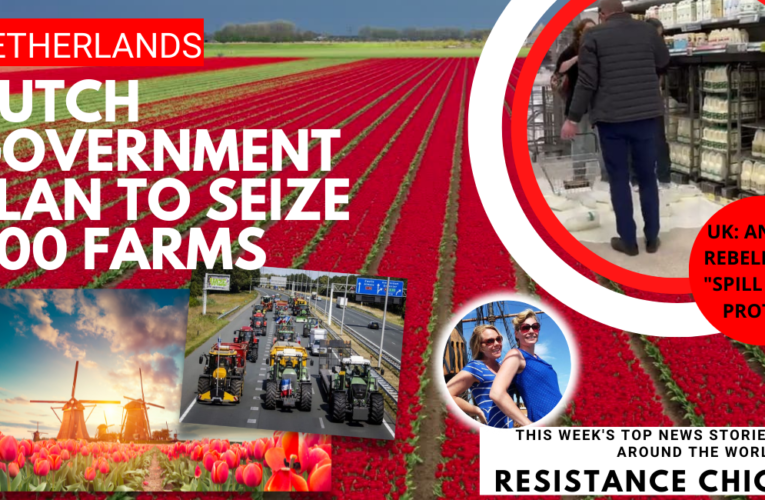 Dutch Gov Plan to Seize 600 Farms