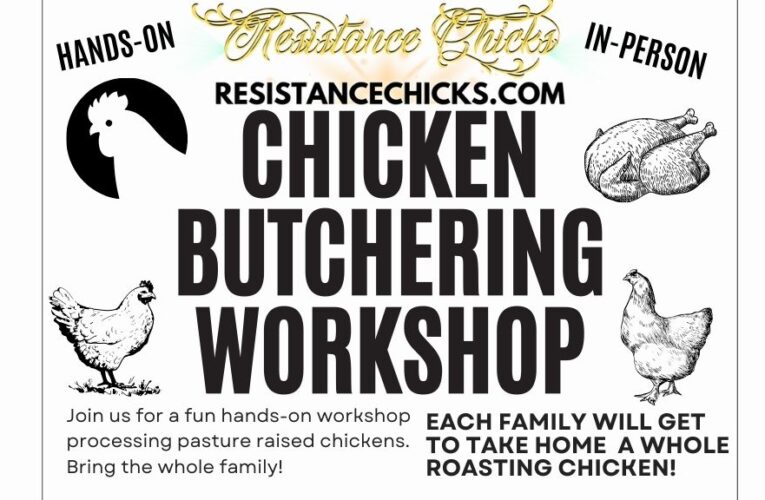 Chicken Butchering Workshop
