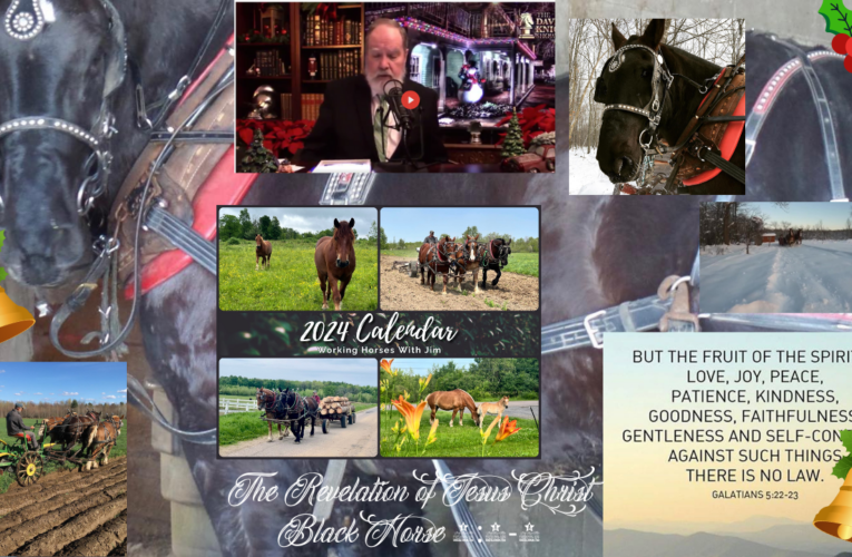 The Revelation of Jesus Christ Black Horse 6:5-6