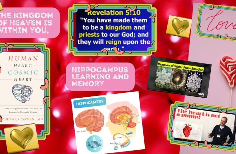 Pt1 The Kingdom of Heaven Is Within You, Hippocampus Learning and Memory