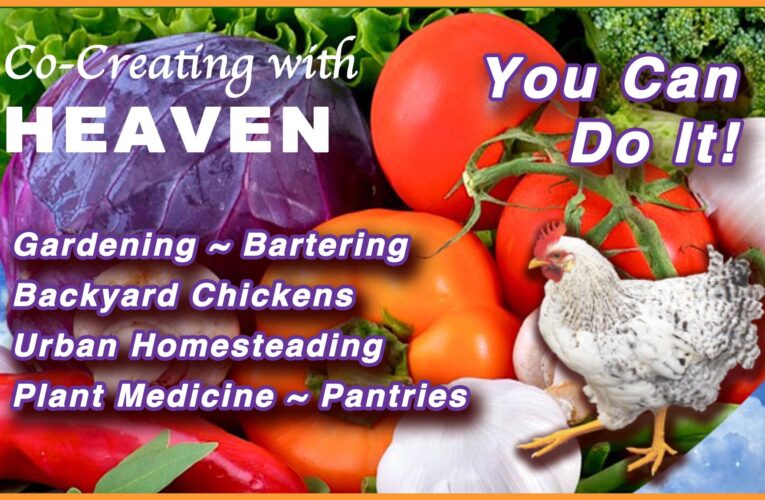 Co-Creating w/ Heaven Homestead Conference