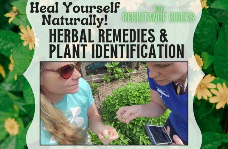 Heal Yourself Naturally! Herbal Remedies & Plant Identification