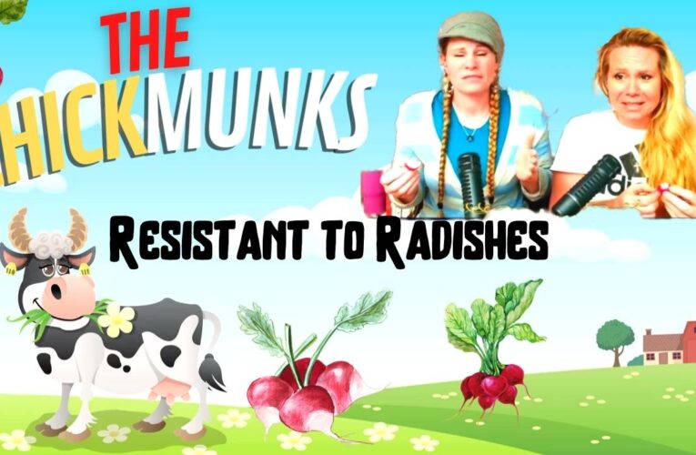 HILARIOUS!!! CHICKMUNKS: Resistant to Radishes