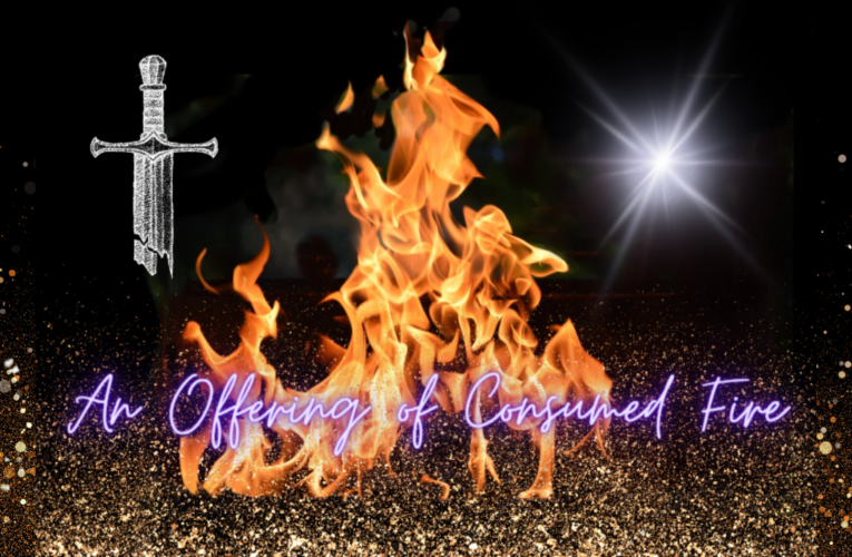 Revolutionary Revivalists EP6
