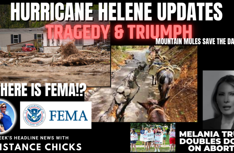 Hurricane Helene Updates
