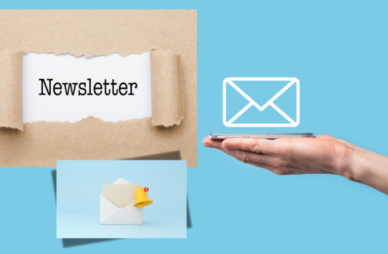 Newsletter November 21st, 2024