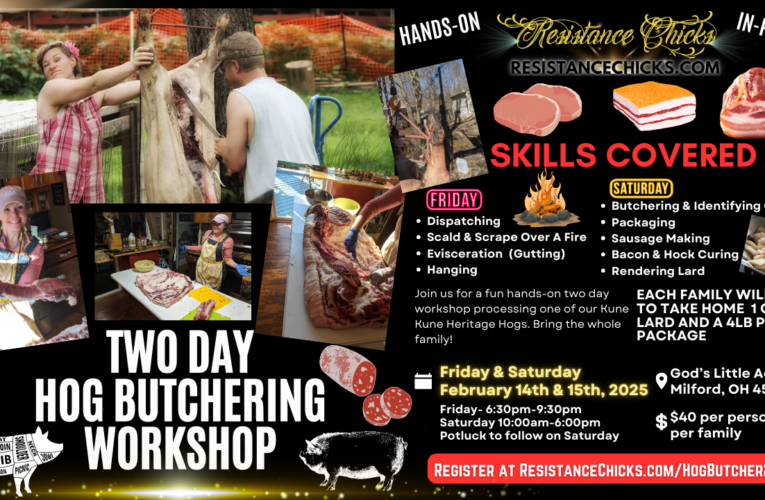 Hog Butcher Workshop 2025