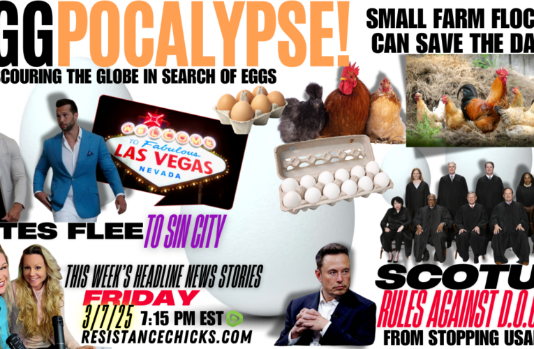 EGG-POCALYPSE!