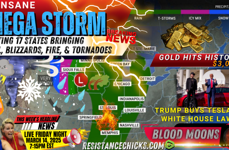 MEGA STORM