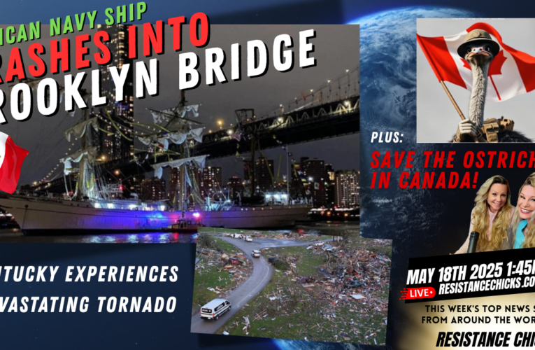 Mexican Ship Crashes into Brooklyn Bridge