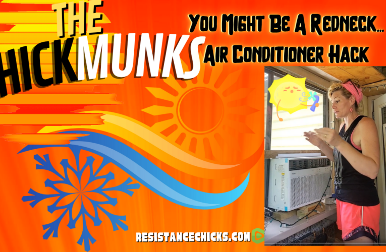 The ChickMunks: Air Conditioner