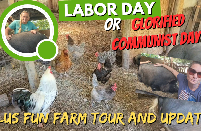 Labor Day? Or Glorified Communist Day?