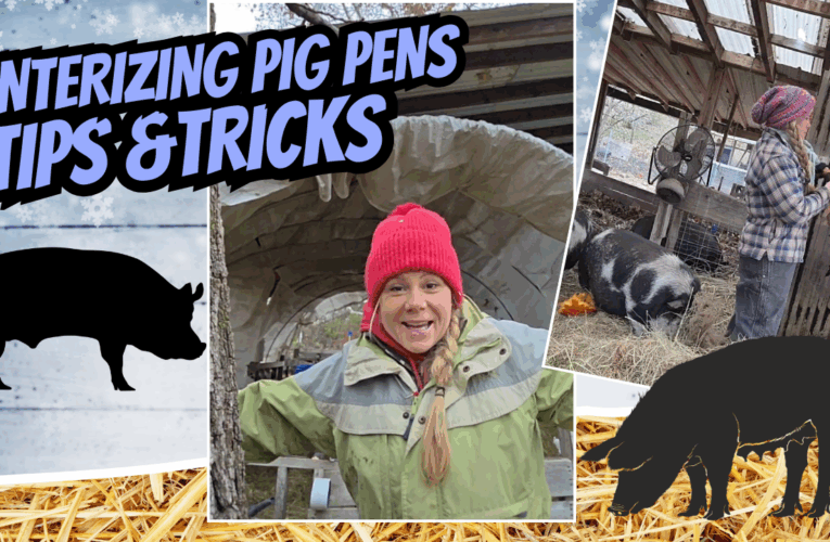 Winterizing Pigpens Tips and Tricks