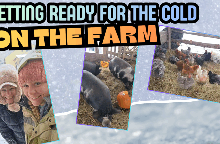 Getting Ready For the Cold on the Farm