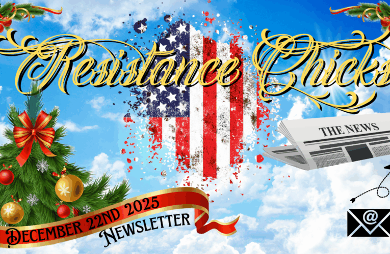 Christmas 2025 Newsletter