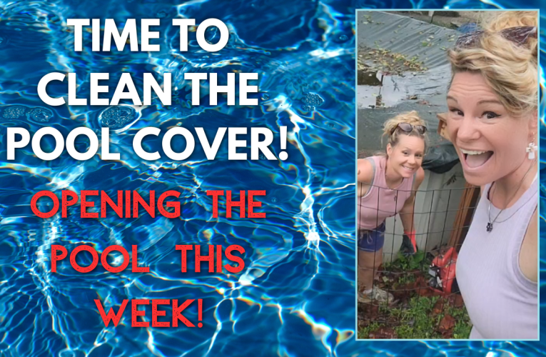 Time To Clean The Pool Cover! Opening the Pool This Week!